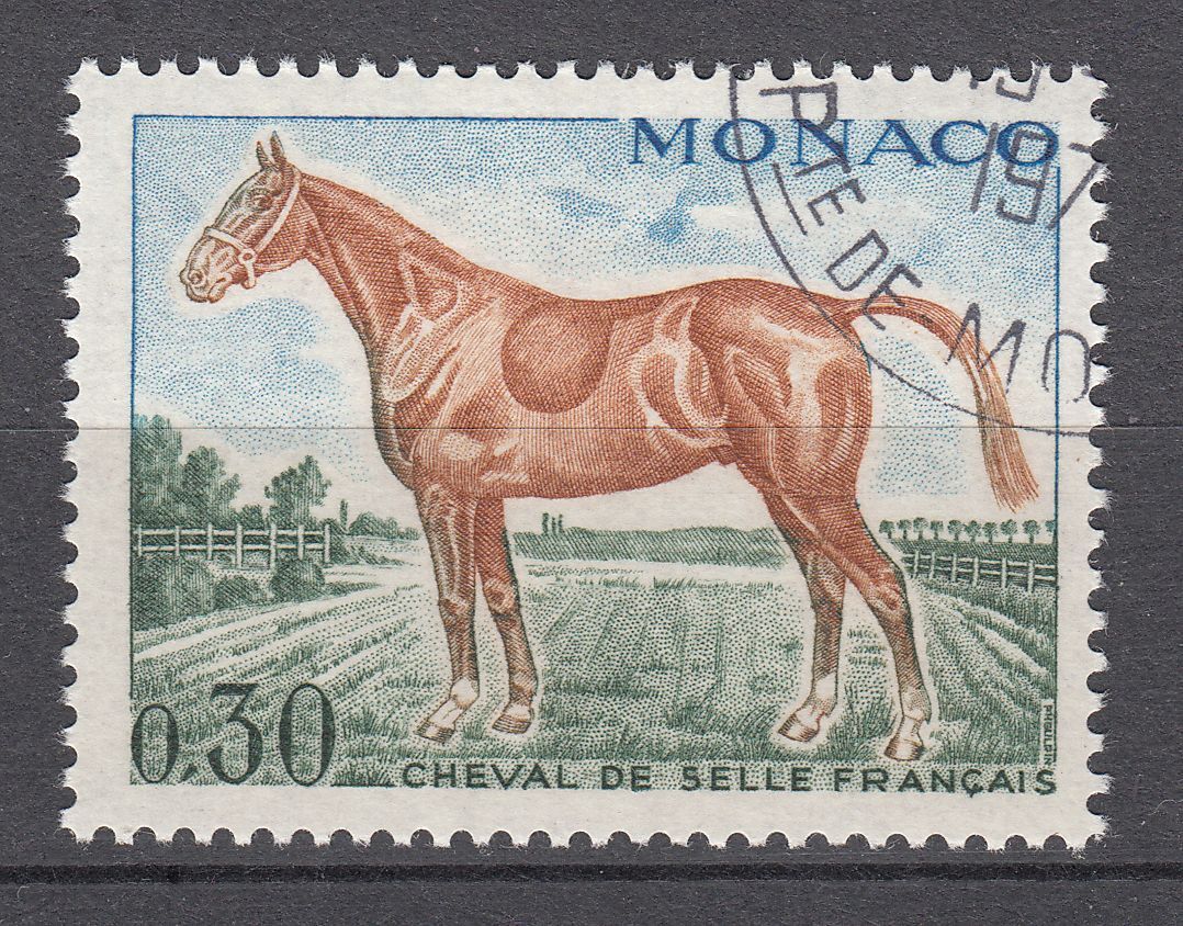 TIMBRE MONACO OBL N 833 CHEVEAUX DE SANG CHEVAL DE SELLE FRANCAISE 401586015852