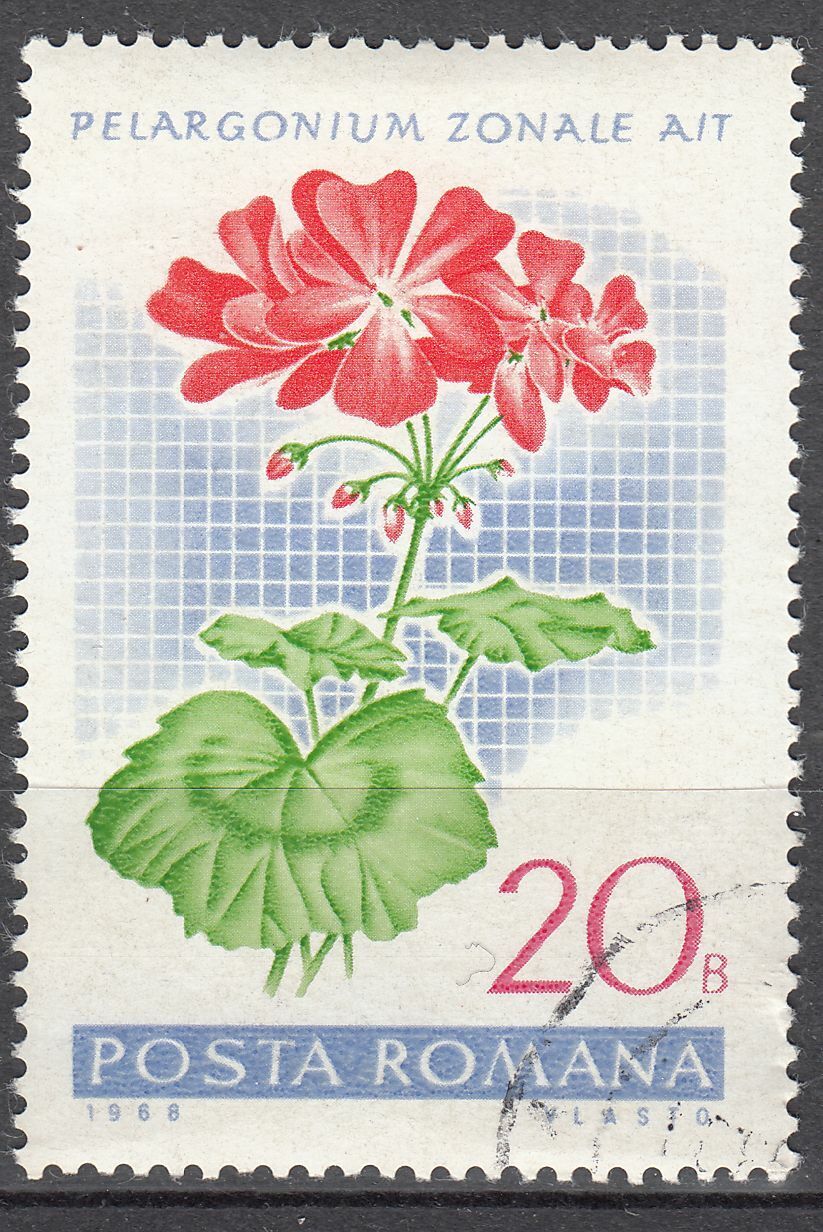 TIMBRE ROUMANIE OBL N 2390 GERANIUM PELARGONIUM ZONALE AIT 402001428262