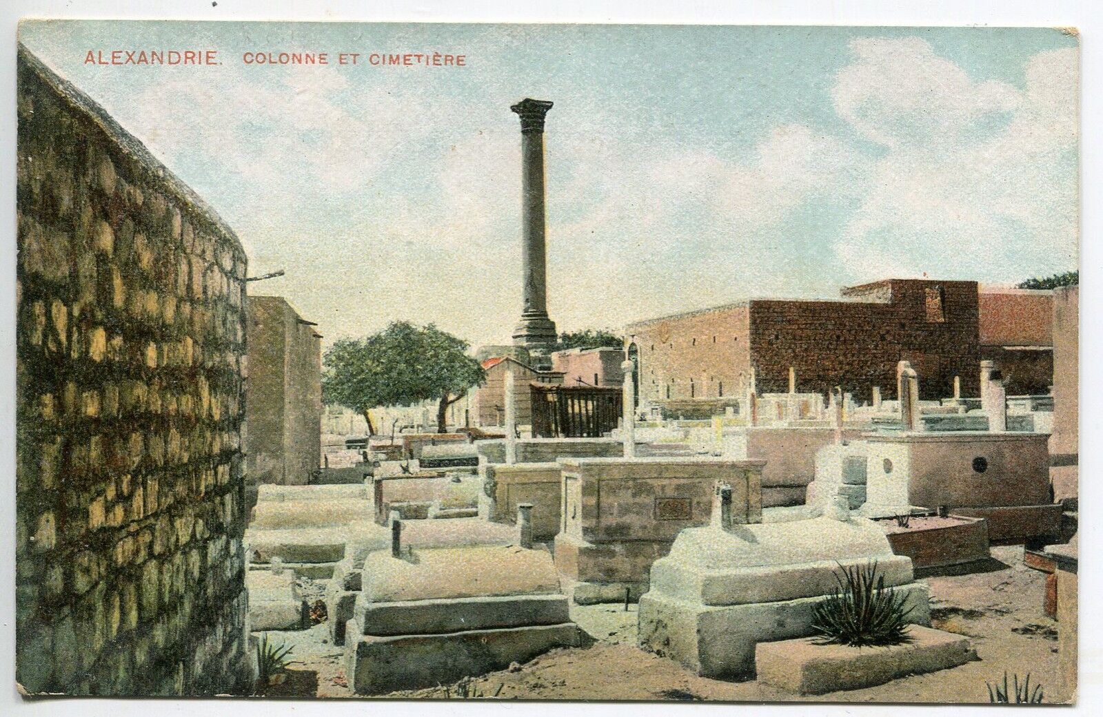 CARTE POSTALE ALEXANDRIE COLONNE ET CIMETIERE 121523425803