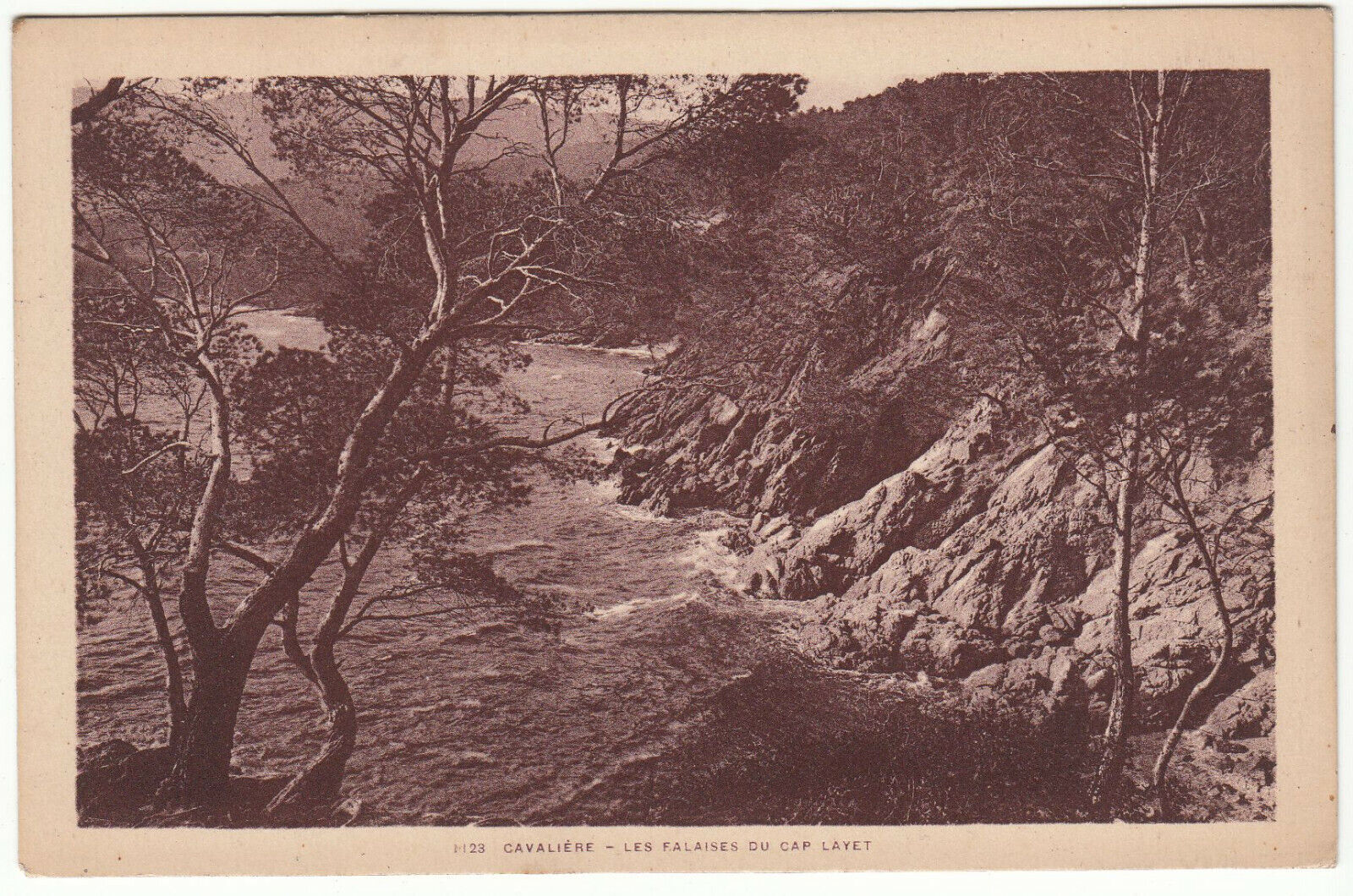 CARTE POSTALE CAVALIERE LES FALAISES DU CAP LAYET 401952771503