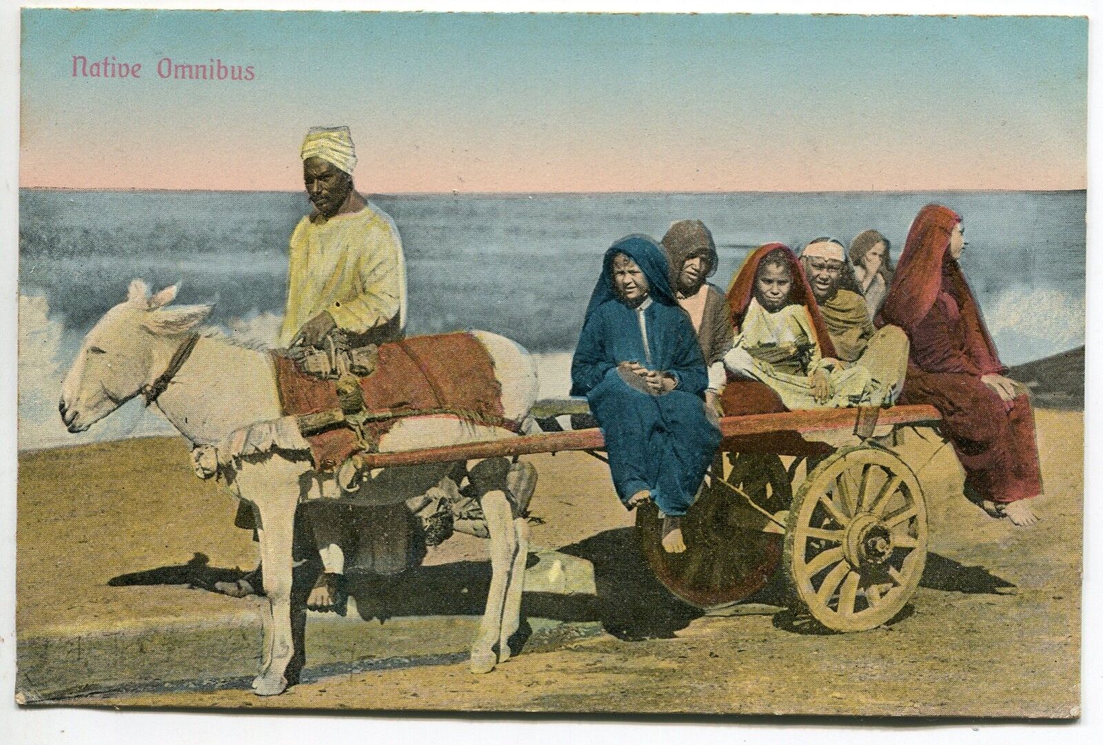 CARTE POSTALE EGYPTE NATIVE OMNIBUS ATTELAGE 400667526313