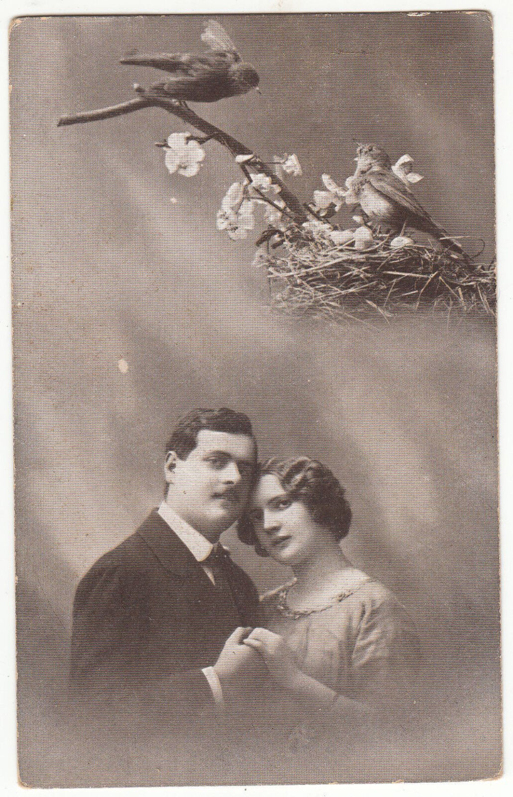 CARTE POSTALE FANTAISIE COUPLE OISEAUX NID 401239801073