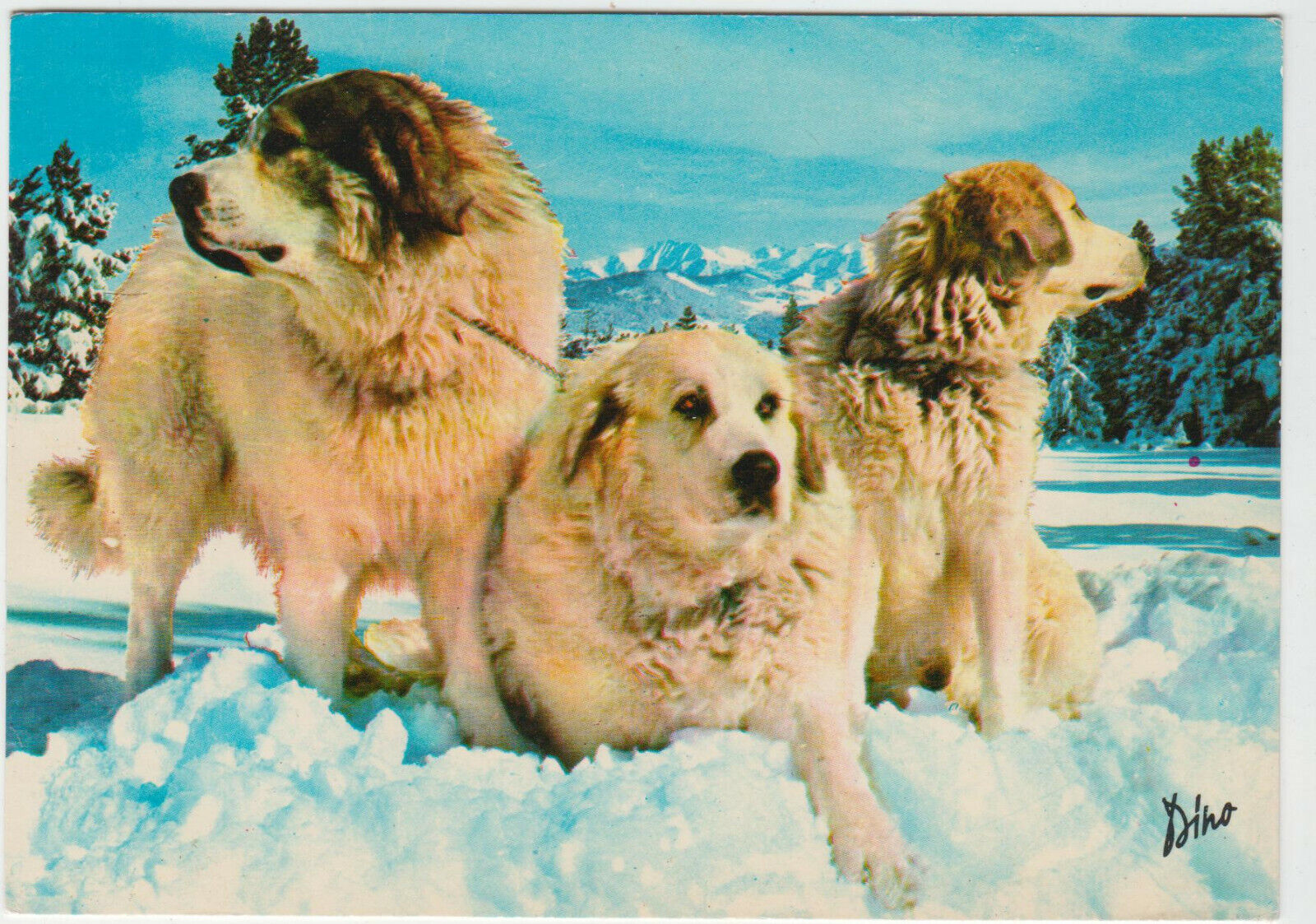 CARTE POSTALE MODERNE CHIEN DES PYRENEES JUPITER ISIS MINERVE 123949416963