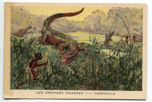 CHROMO LES GRANDES CHASES CROCODILE 110615821803