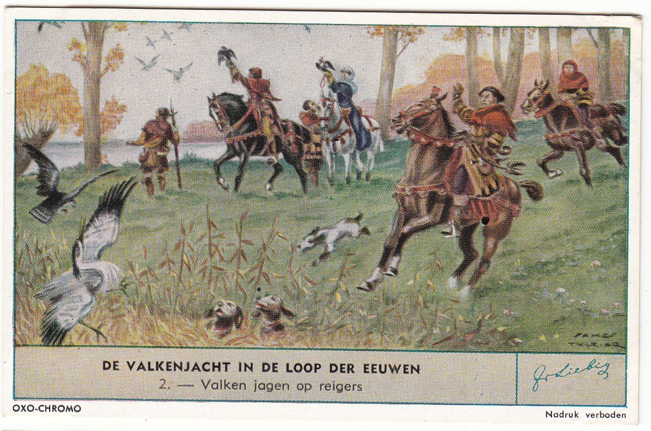 CHROMO LIEBIG DE VALKENJACHT IN DE LOOP DER EEUWEN VALKEN JAGEN AP REIGERS 401077949293