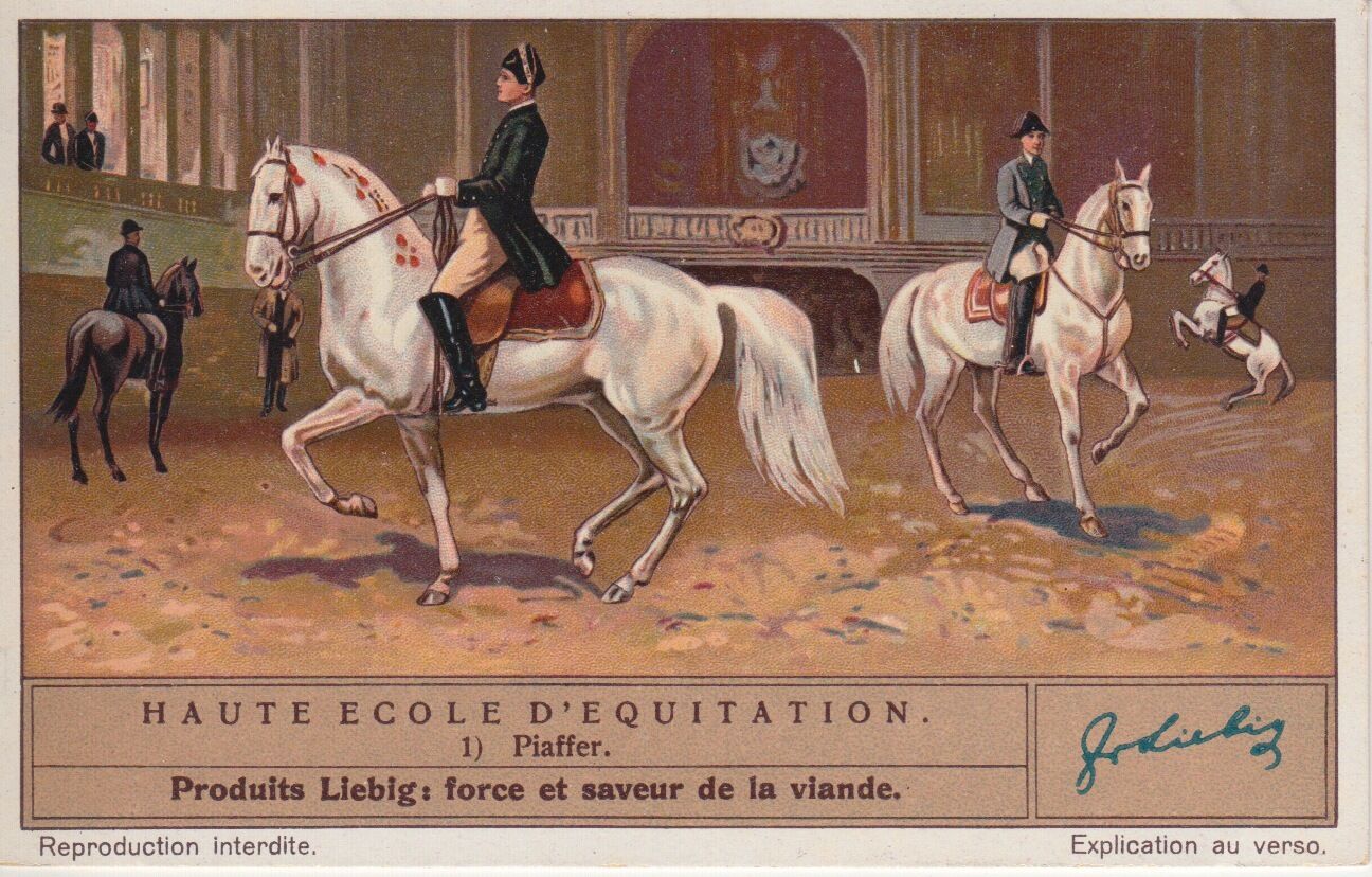 CHROMO LIEBIG HAUTE ECOLE D EQUITATION PIAFFER 121461950813