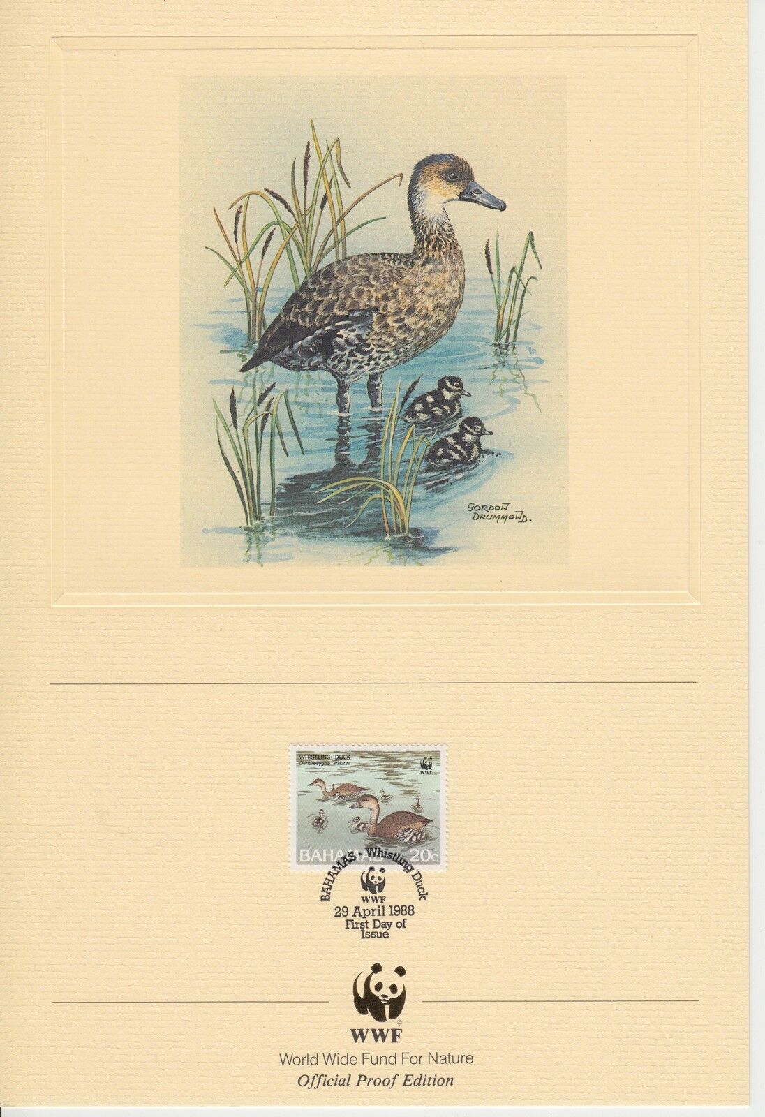 ENCART WWF FDC BAHAMAS WHISTLING DUCK 1988 400808603603