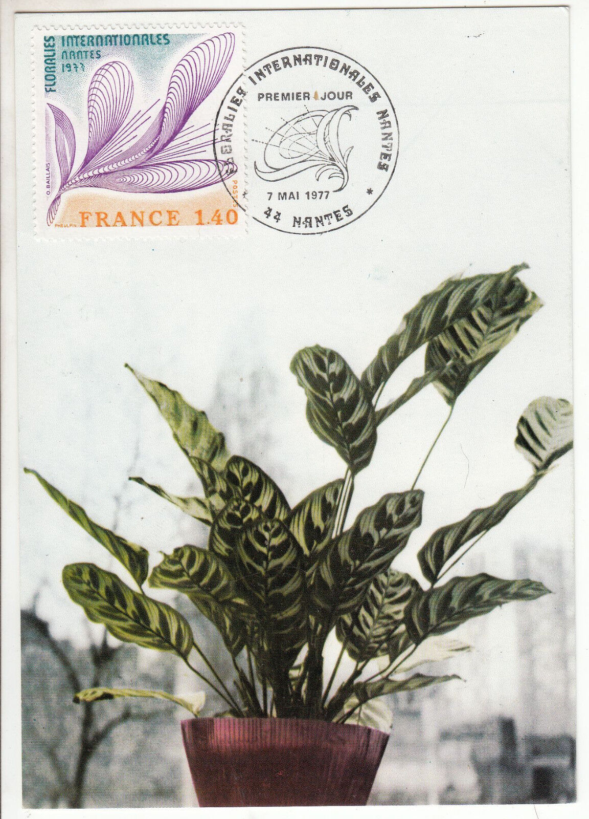 CARTE MAXIMUM FDC 1977 TIMBRE N 1931 FLORALIES INTERNATIONALES NANTES 1977 401424181354