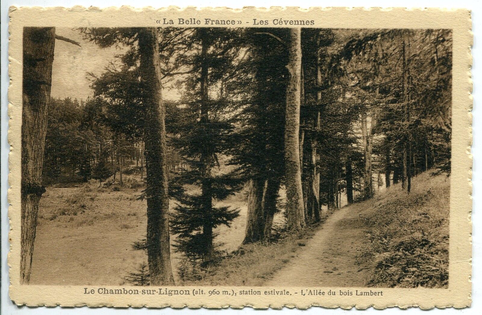 CARTE POSTALE CHAMBON SUR LIGNON L ALLEE DU BOIS LAMBERT 400790976984