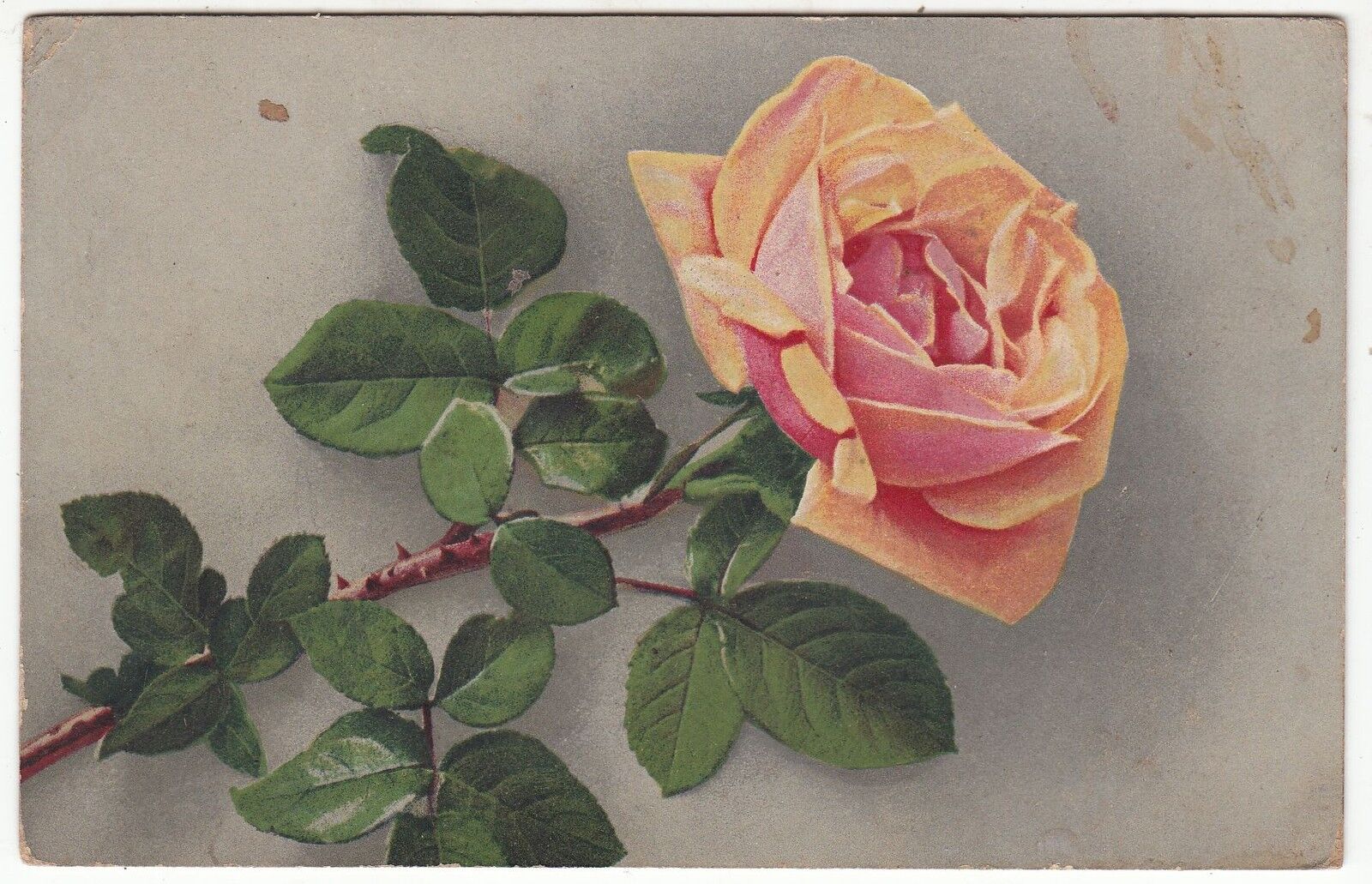 CARTE POSTALE FANTAISIE ALLEMAGNE FLEURS ROSE 401197910694