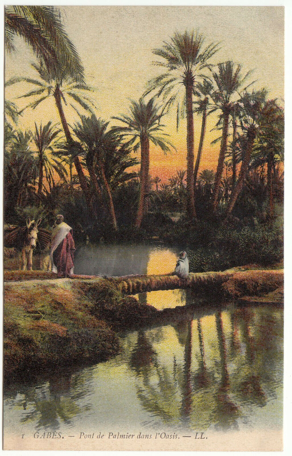 CARTE POSTALE GABES PONT DE PALMIER DANS L OASIS 123962427124