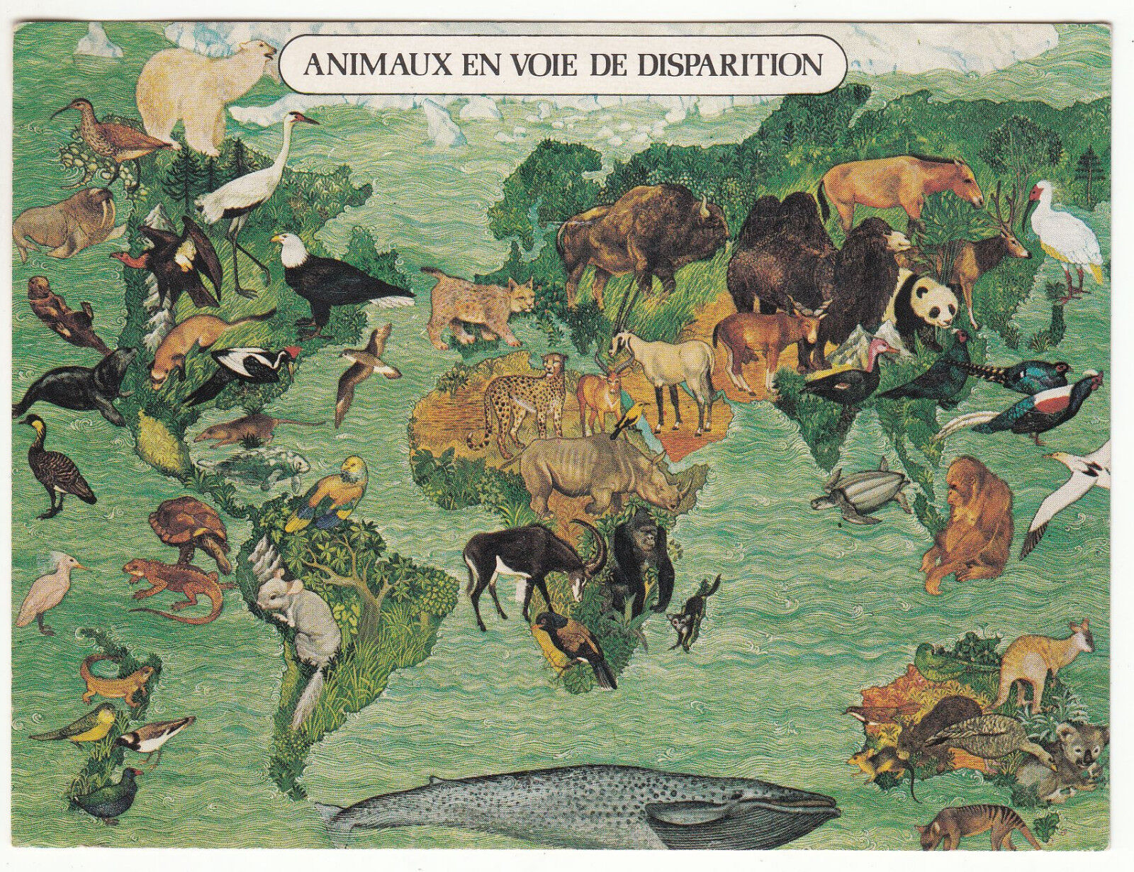 CARTE POSTALE LES ANIMAUX EN VOIE DE DISPARITION EDITION TIME LIFE 122914816524