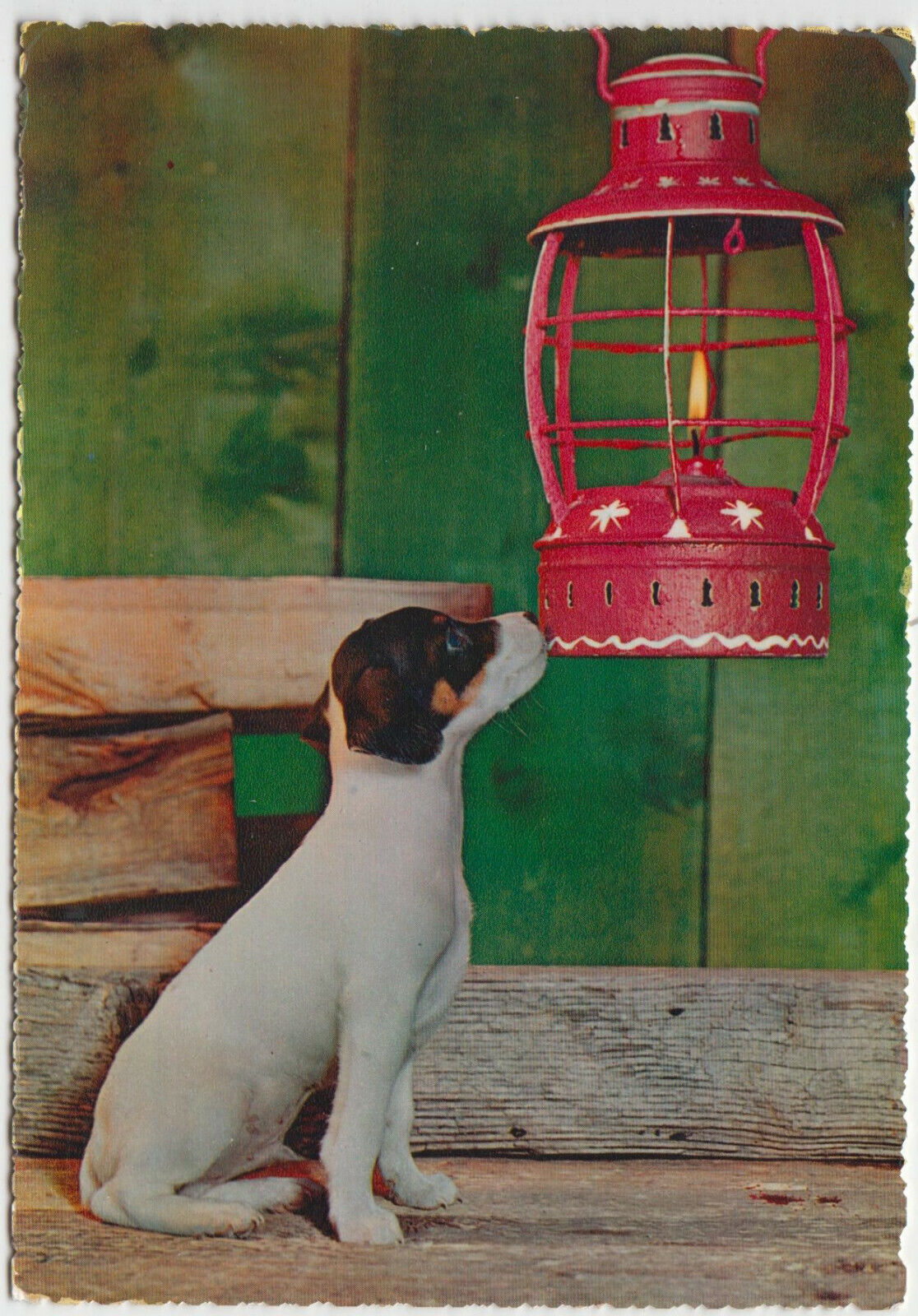 CARTE POSTALE MODERNE CHIEN LANTERNE 401928163444