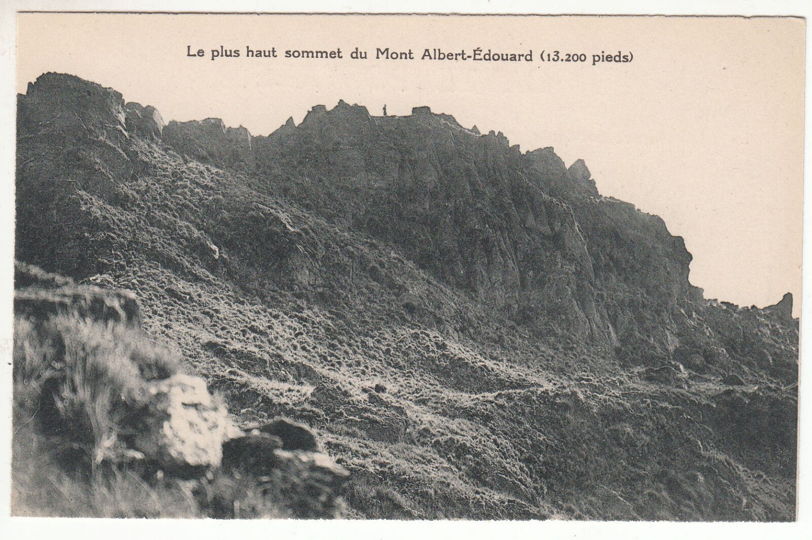 CARTE POSTALE PAPOUASIE LE PLUS HAUT SOMMET DU MONT ALBERT EDOUARD 122573323674