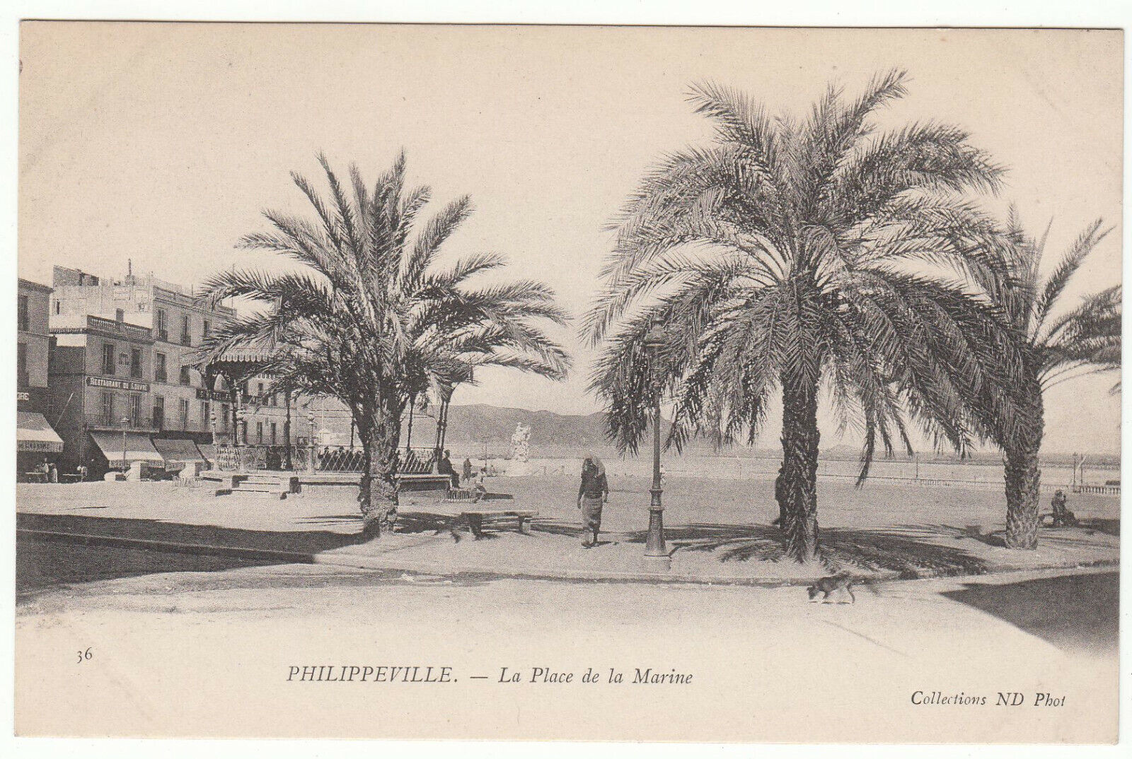 CARTE POSTALE PHILIPPEVILLE LA PLACE DU MARCHE 123960848884