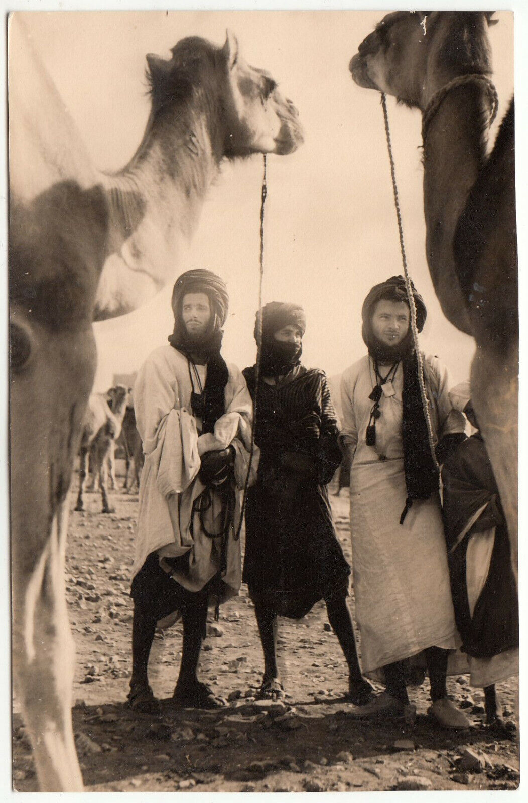 CARTE POSTALE VISAGE PHOTOGRAPHIQUE DU MAROC CHAMELIER A GOULIMINE 401956079114