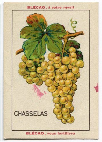 CHROMO BLECAO CHASSELAS 110615366894