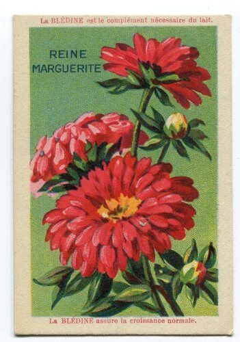 CHROMO REINE MARGUERITE 110614912714