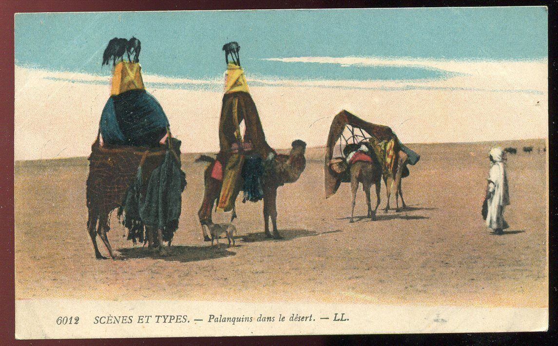 CPA SCENES ET TYPES PALANQUINS DANS LE DESERT N 6012 AFRIQUE 110771213034