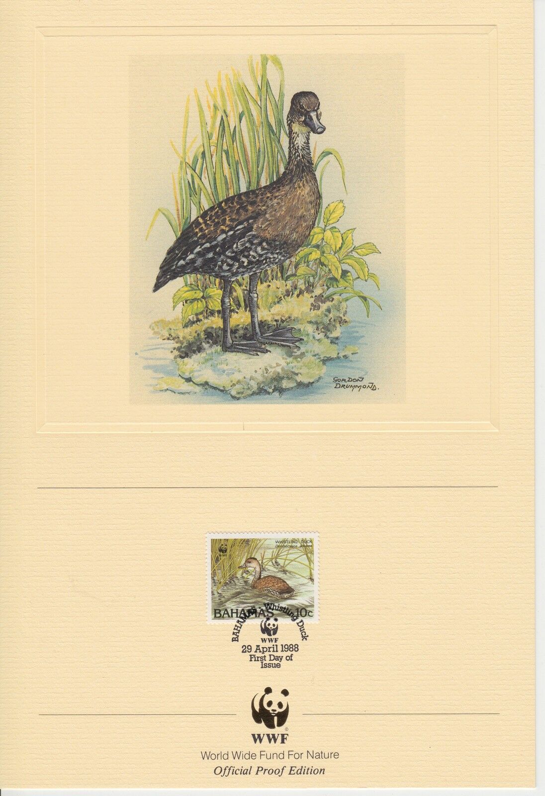 ENCART WWF FDC BAHAMAS WHISTLING DUCK 1988 121490238874