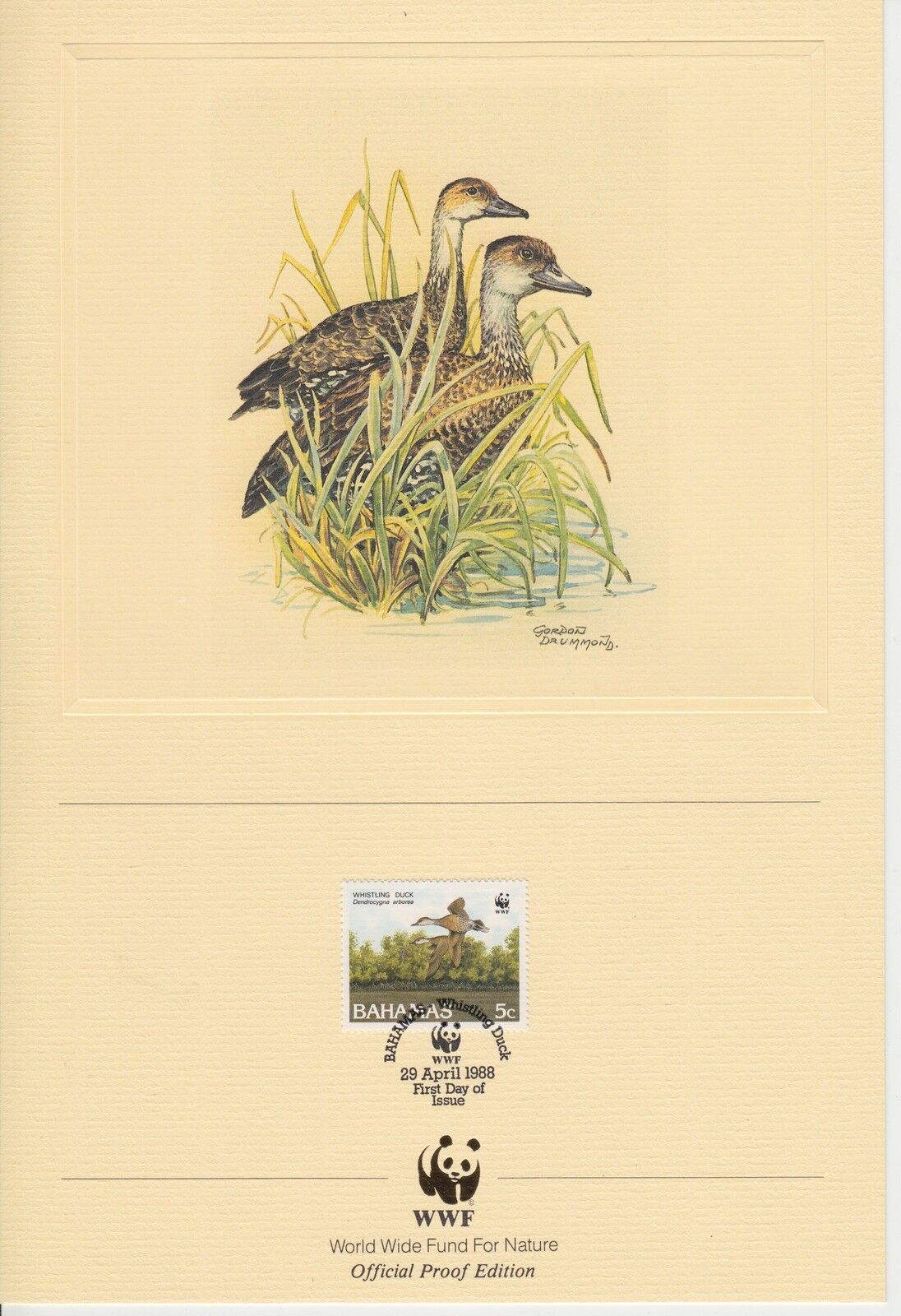 ENCART WWF FDC BAHAMAS WHISTLING DUCK 1988 400808603604