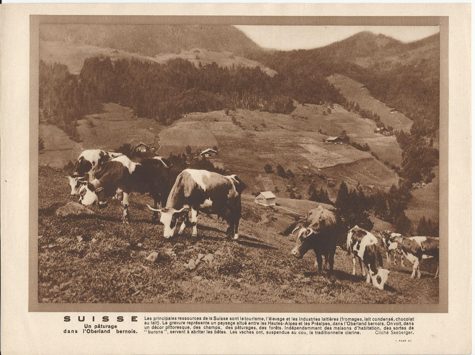 GRAVURE ANNEE 30 SUISSE PATURAGE L OBERLAND BERNOIS BURONS VACHES CLARINE 401276162374