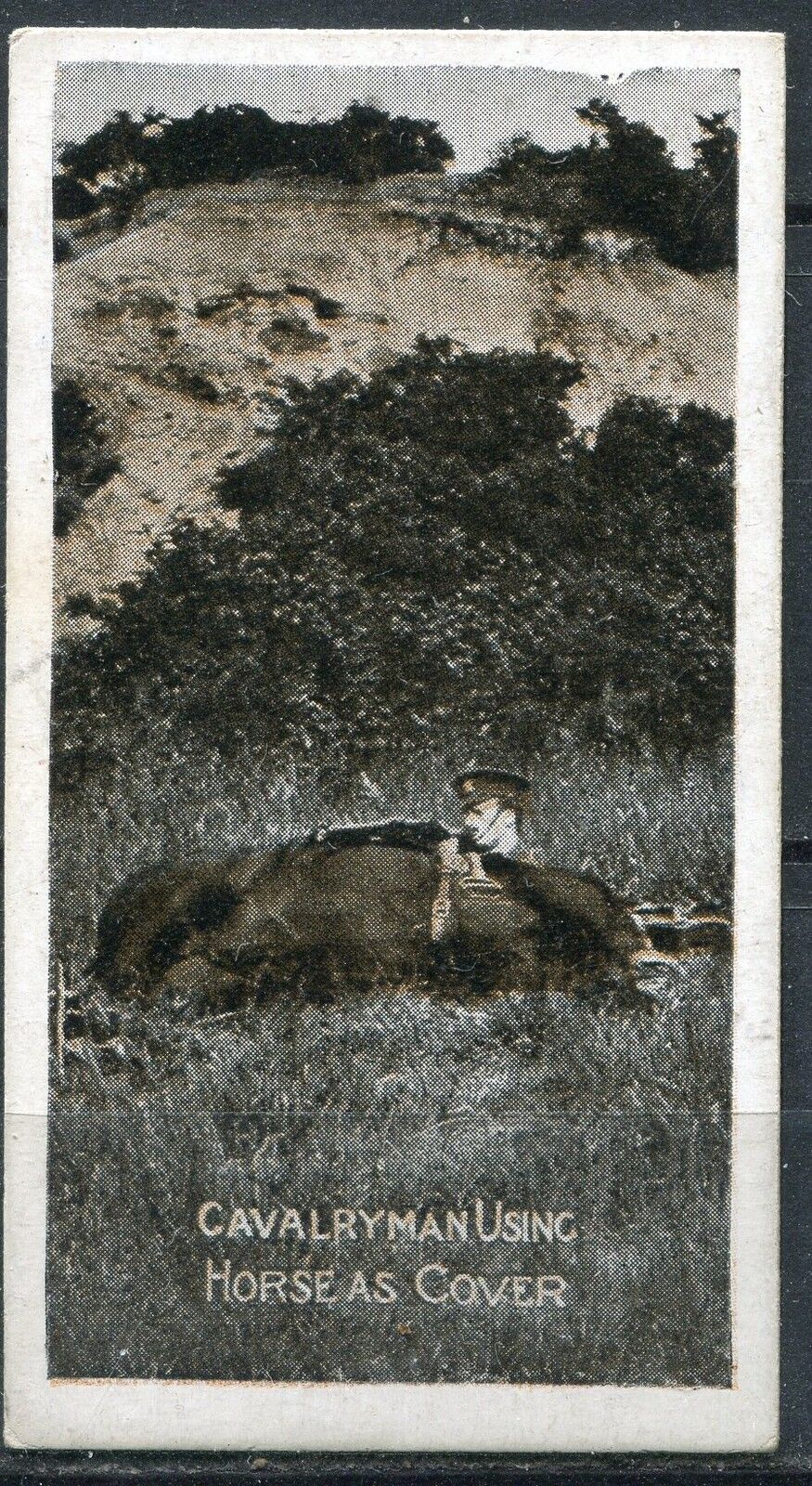 PHOTO MILITAIRE CAVALRY MAN USING HORSE AS COVER MURATTI S CIGARETTES 400328780954