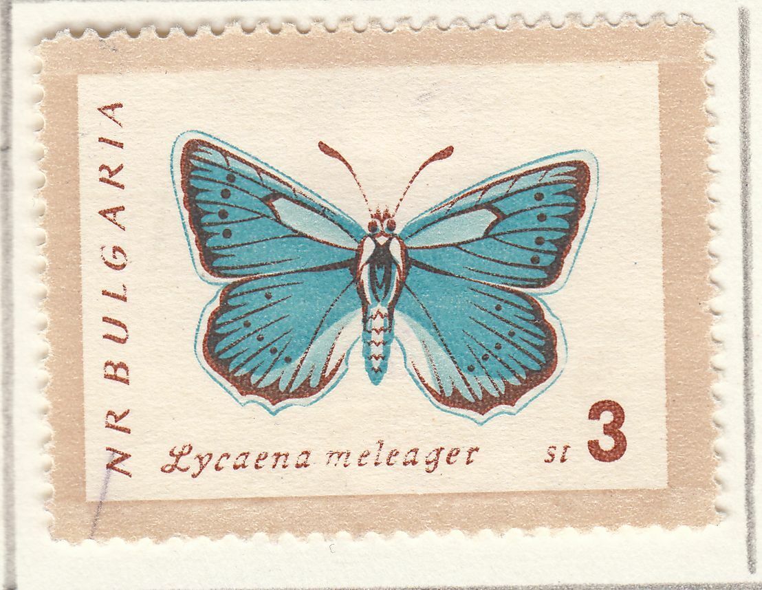 TIMBRE BULGARIE OBL N 1157 PAPILLON LYCAENA MELEAGER 124052595774