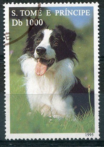 TIMBRE CHIEN DE RACE BORDER COLLIE 110750462424