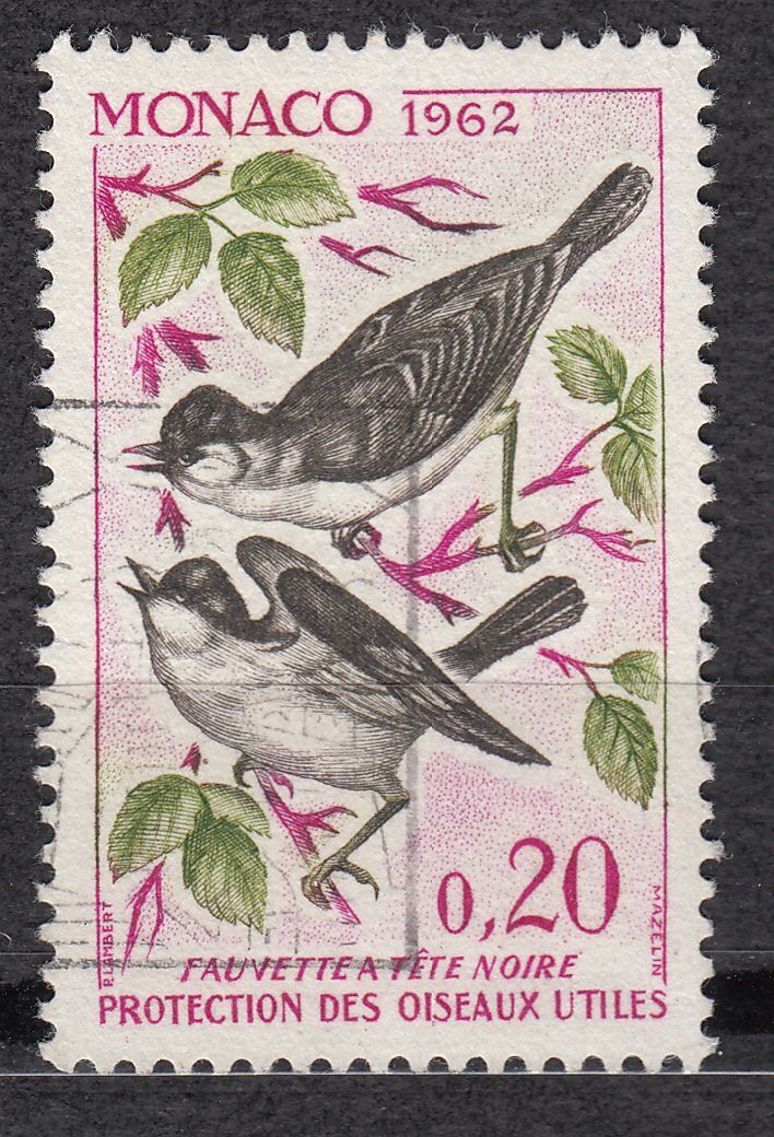 TIMBRE MONACO OBL N 584 OISEAUX FAUVETTE A TETE NOIR 123082238634