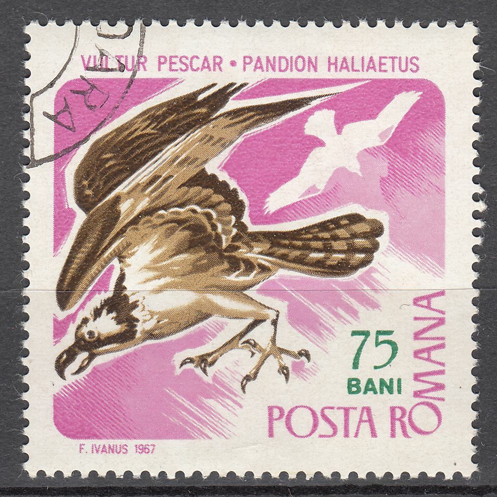 TIMBRE ROUMANIE OBL N 2282 OISEAUX ET PROIE BALBUZARD PECHEUR 401994756294