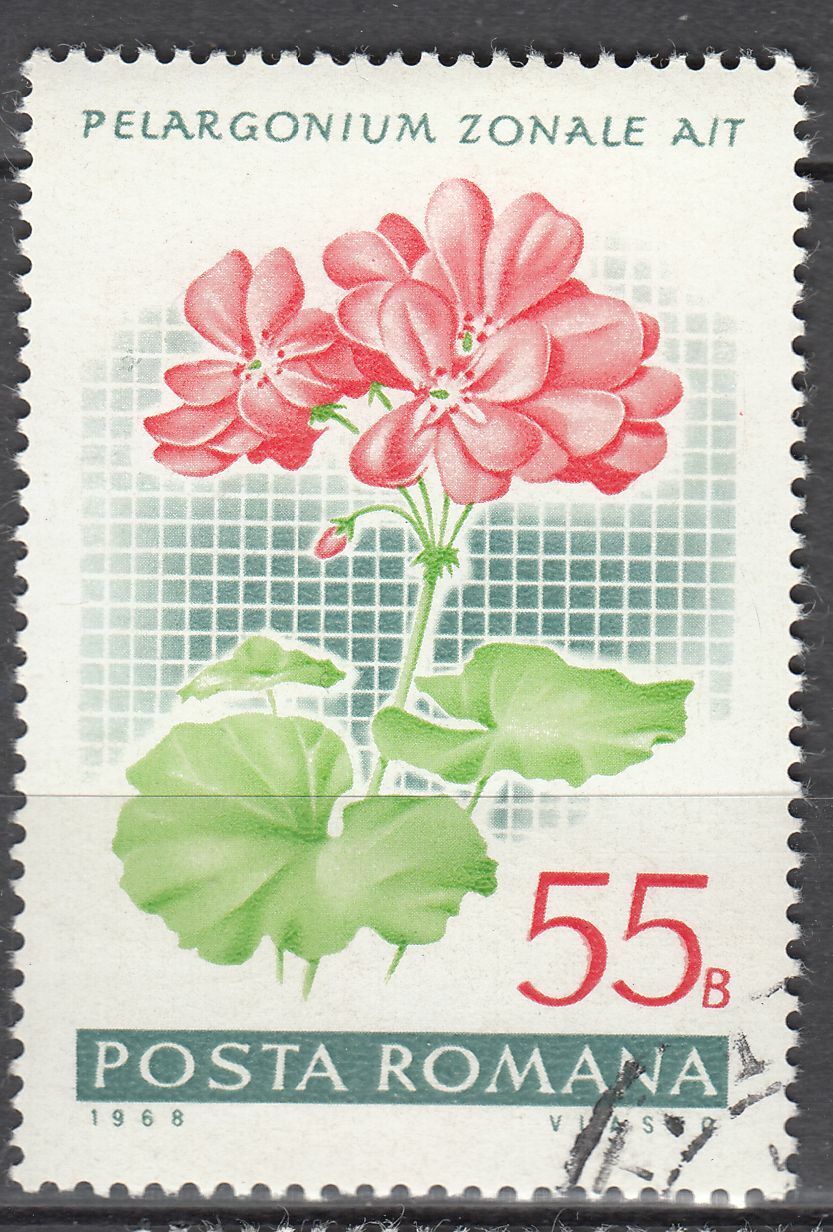 TIMBRE ROUMANIE OBL N 2392 GERANIUM PELARGONIUM ZONALE AIT 124014203714