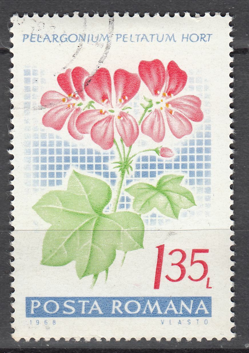 TIMBRE ROUMANIE OBL N 2395 GERANIUM PELARGONIUM PELTATATUMORT 402001430814