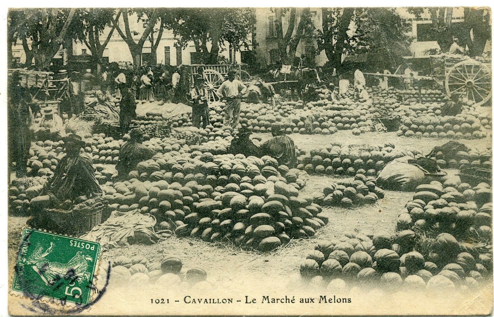 CARTE POSTALE CAVAILLON MARCHE AUX MELONS 121322432045