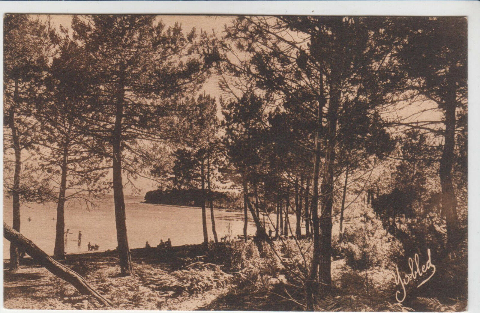 CARTE POSTALE CAZAUX GIRONDE BORD DU LAC 123918422945