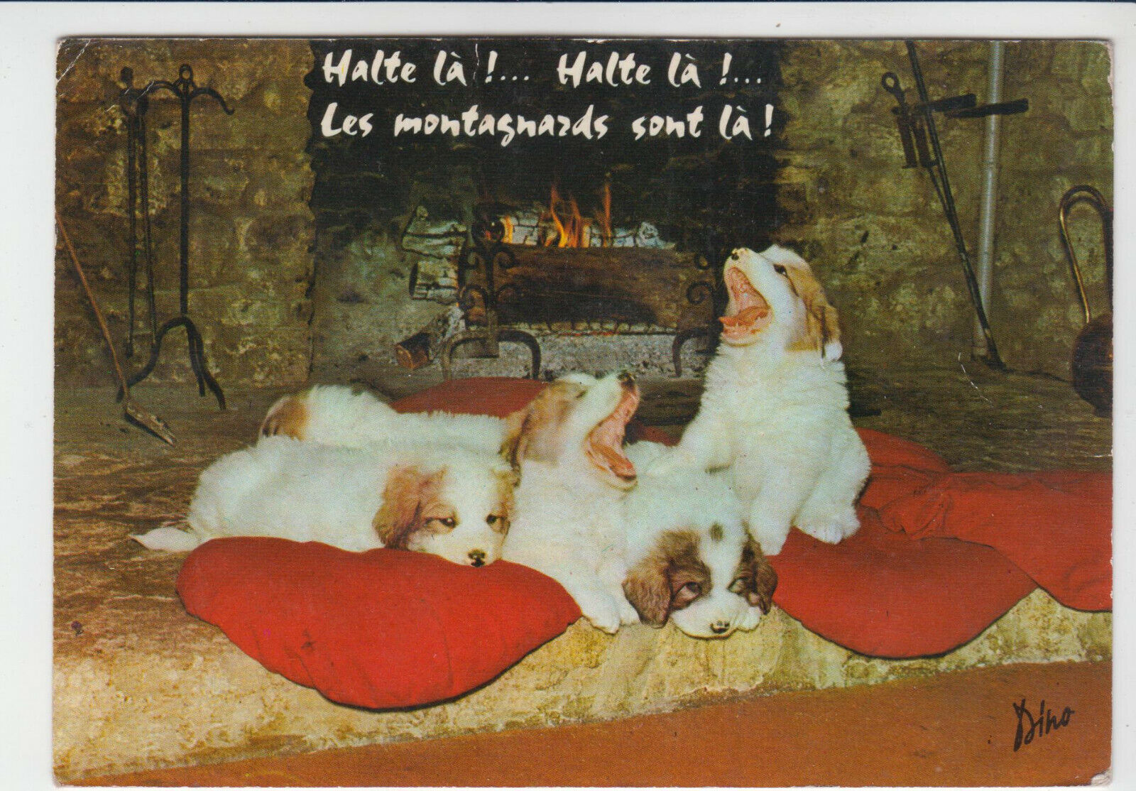 CARTE POSTALE CHIEN CHIOTS DES PYRENEES 123950573755