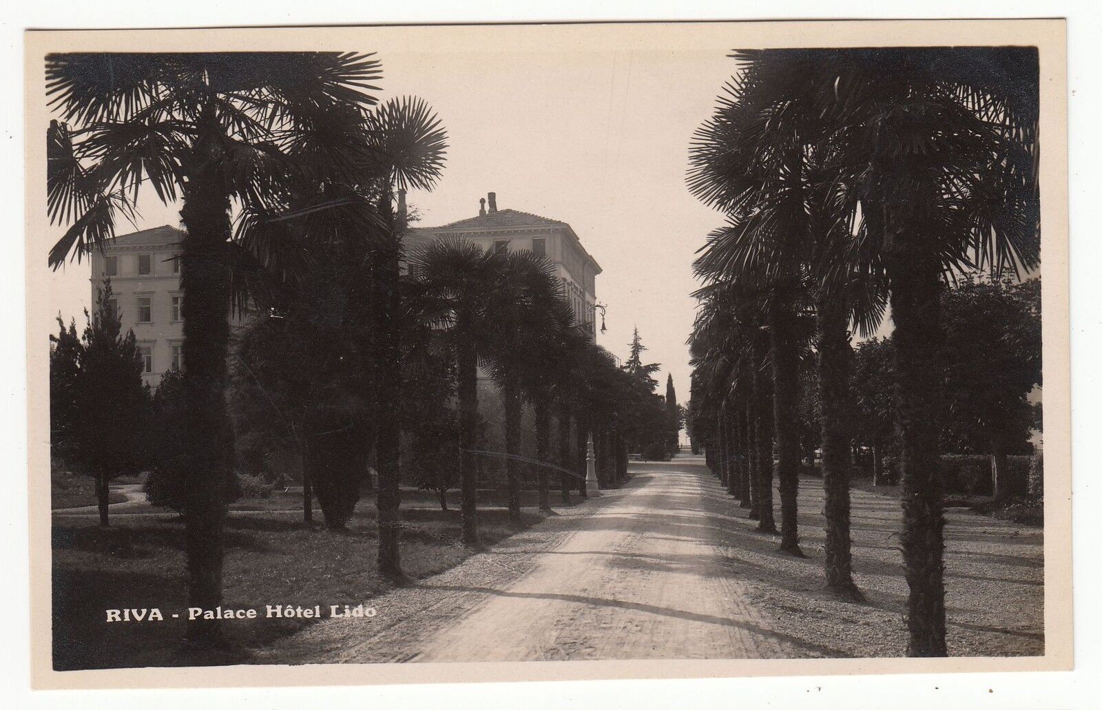 CARTE POSTALE ITALIE RIVA PALACE HOTEL LIDO 121922218665