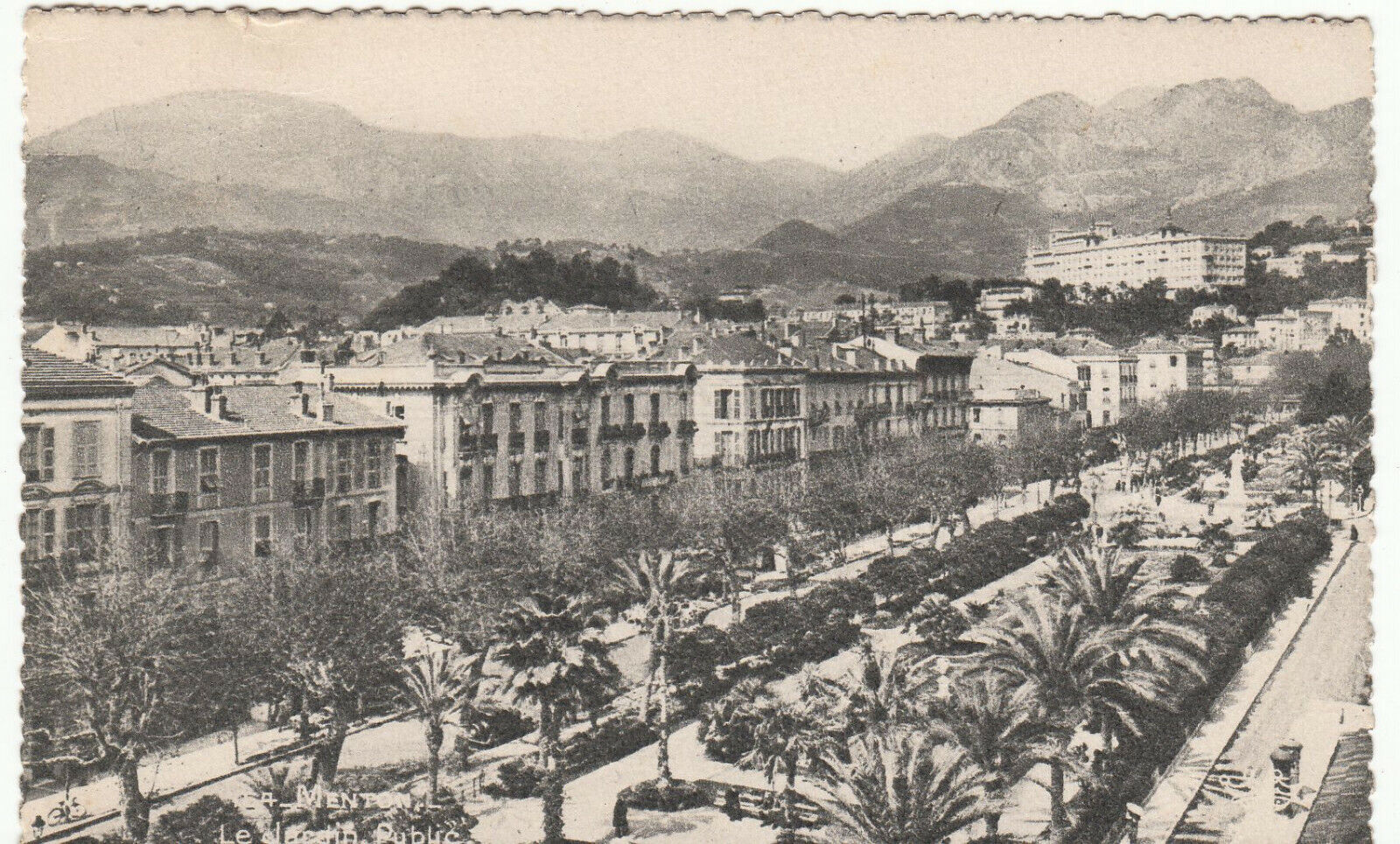 CARTE POSTALE MENTON LES JARDINS PUBLIC 401953623895