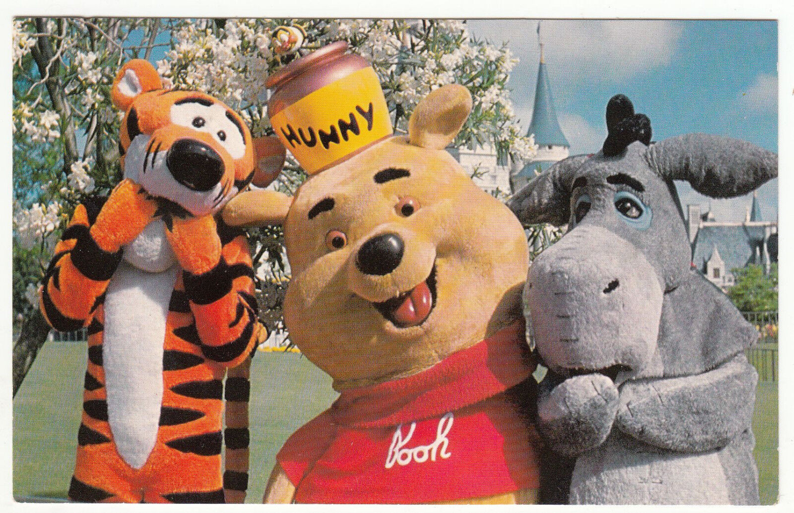 CARTE POSTALE WALT DISNEY WORLD WINNIE L OURSON TIGROU ANE 122913896965