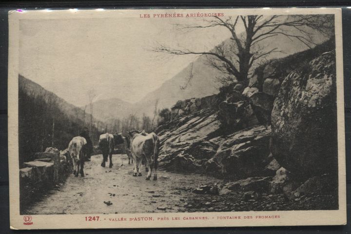 CPA LES PYRENEES ARIEGEOISE VALLEE D ASTON GARDIEN DE VACHE FONTAINE FROMAGE 120852495695