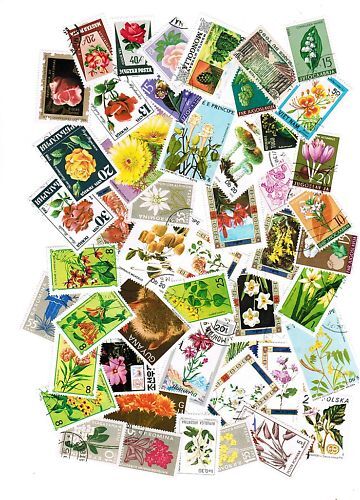 LOT DE 50 TIMBRES DIFFERENTS THEMES FLORE 110614494935