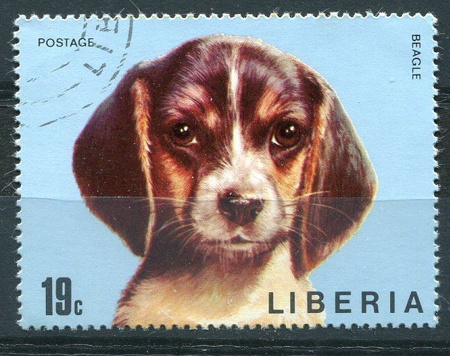 TIMBRE CHIEN BEAGLE 110771998125