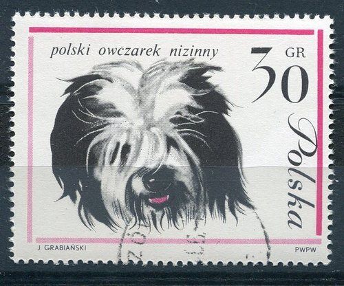 TIMBRE CHIEN DE RACE POLSKI OWCZAREK NIZINNY 110750463185