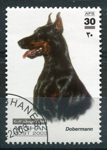 TIMBRE CHIEN DOBERMAN 110771998685