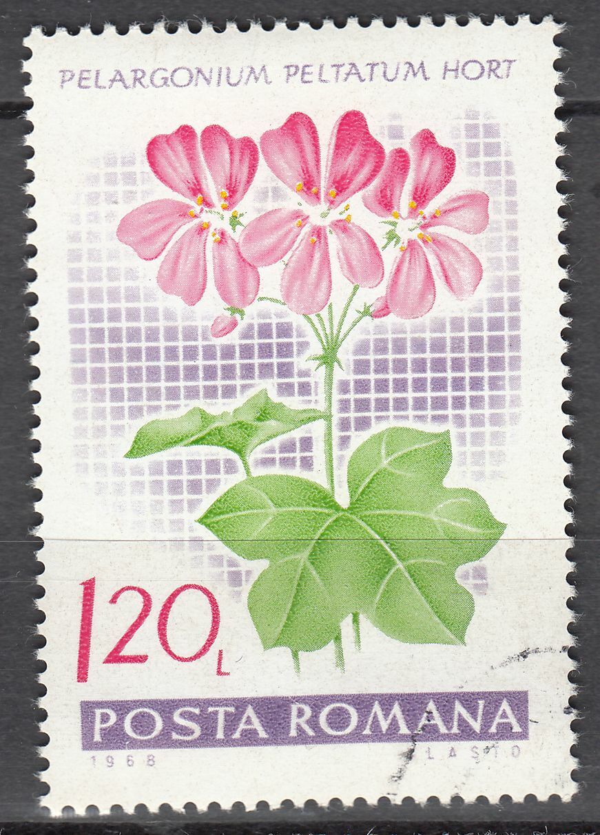 TIMBRE ROUMANIE OBL N 2394 GERANIUM PELARGONIUM PELTATATUMORT 402001430415