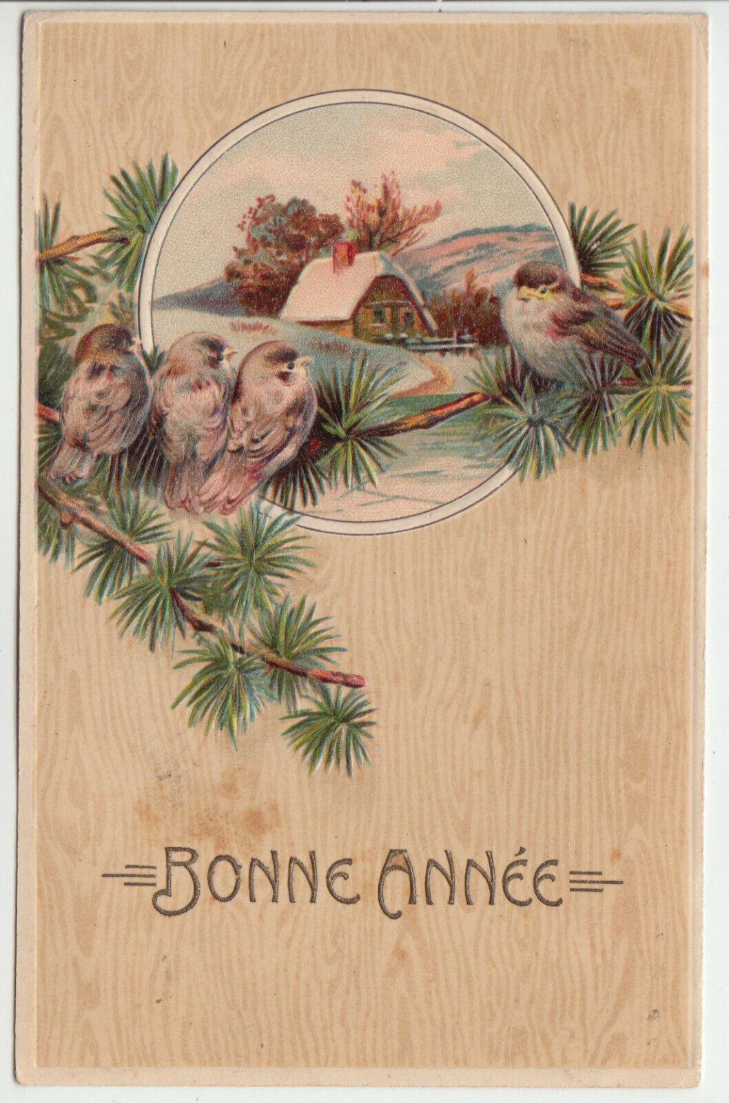 CARTE POSTALE FANTAISIE OISEAUX EN RELIEF 1909 124761910046