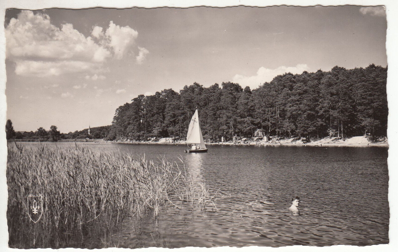 CARTE POSTALE LA FORET DE TRONCAIS ETANG DE SAINT BONNET LA PLAGE 401371190416