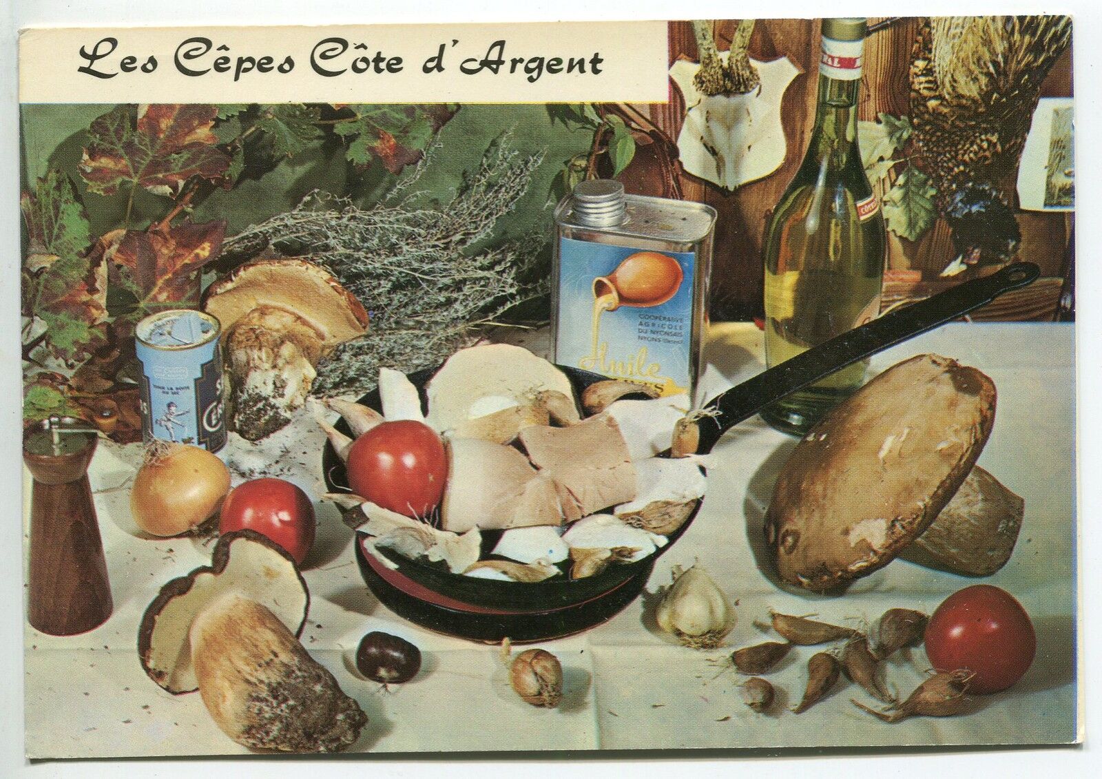 CARTE POSTALE RECETTE LES CEPES COTE D ARGENT D EMILE BERNARD N 86 121449606846