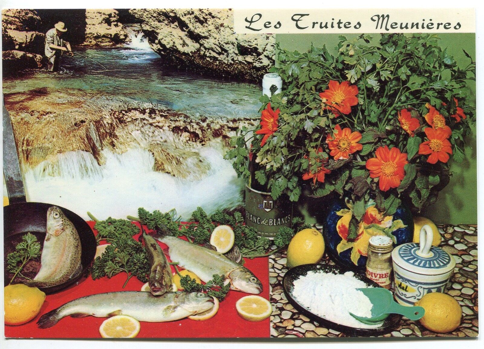 CARTE POSTALE RECETTE LES TRUITES MEUNIERES D EMILE BERNARD N 127 121449607436