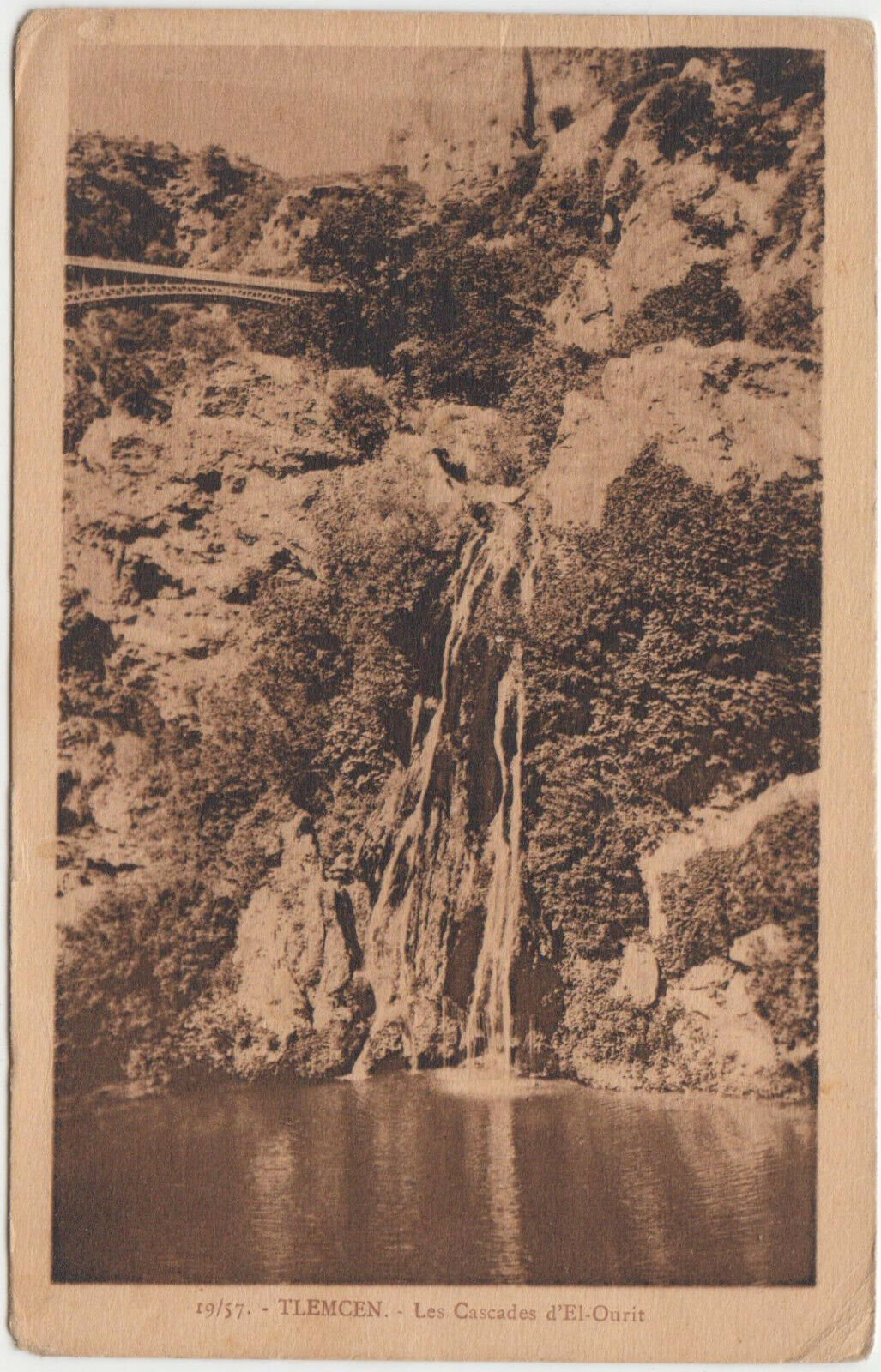 CARTE POSTALE TLEMCEN LES CASCADES D EL OURIT 123914863196